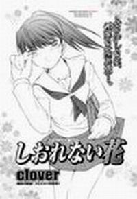 Witherless Flower (Неувядающие цветы)