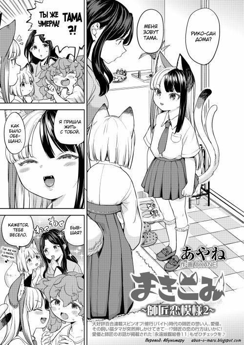 Makikomi №4.2 ~Shishou Koi Moyou 2~