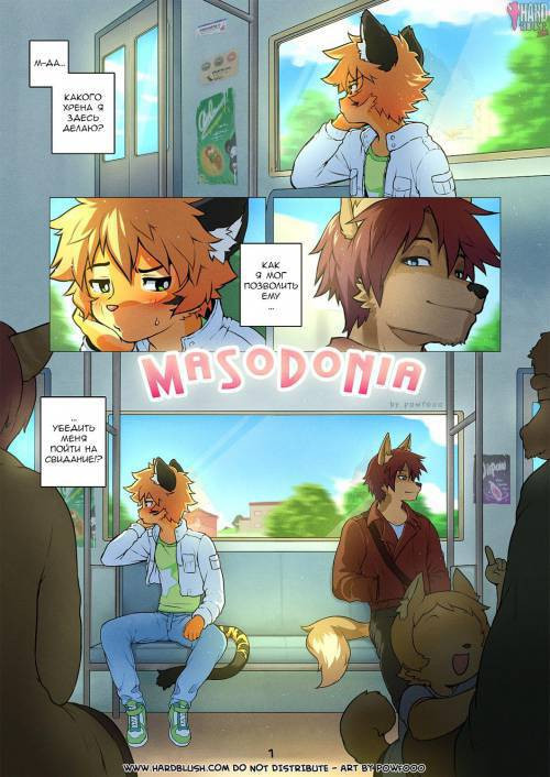Masodonia