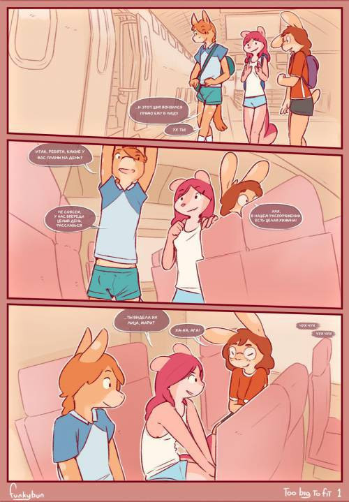 Too Big to Fit №1