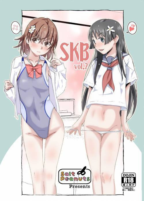 SKB №2