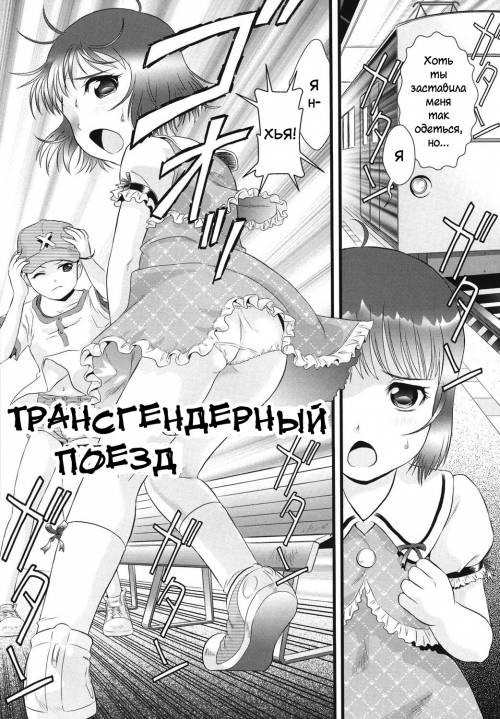 Transjender Train / Трансгендерный поезд