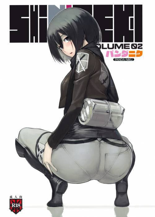 SHINNGEKI №2