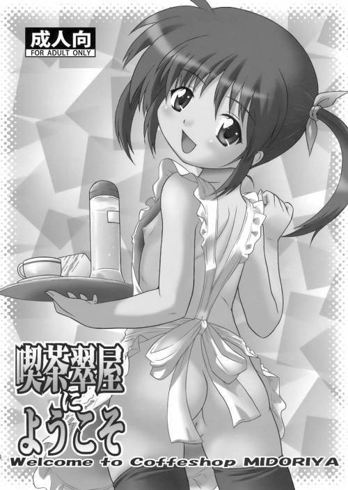 Nanoha Dukushi Mahou Shoujo Lyrical Nanoha Soushuuhon №2 /Разносторонняя Наноха