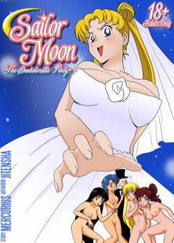 Sailor Moon - The bachelorette party / Сейлор Мун - девичник