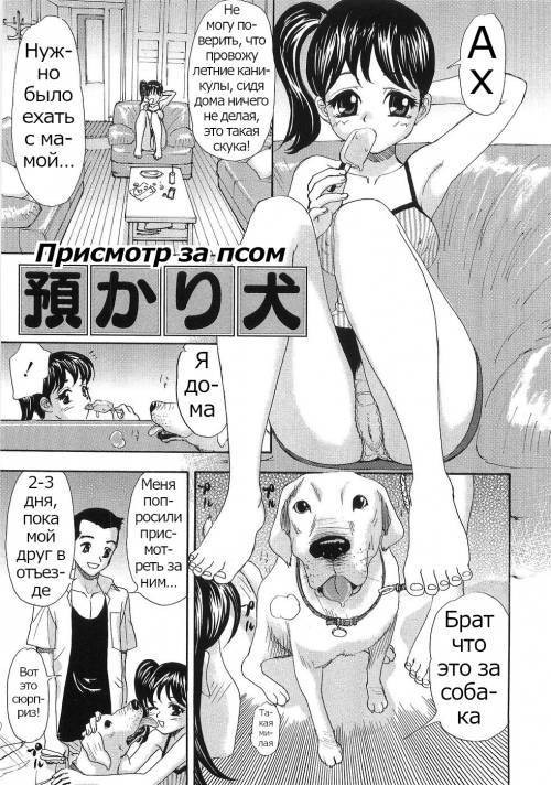 Dog Custody / Присмотр за псом