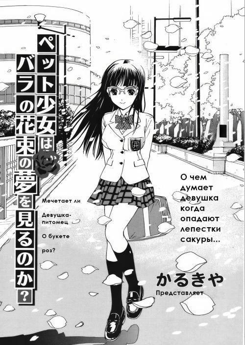 Do Pet-Girl Dream of Bouquet of Rose? / Мечтает ли девушка-питомец о букете роз?