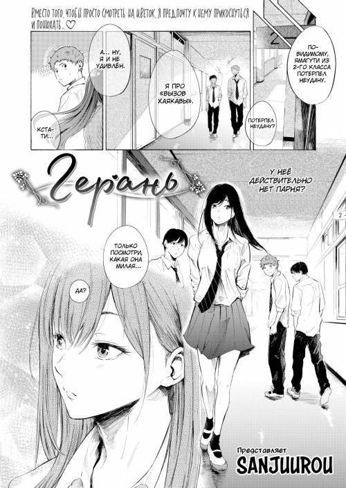 Geranium / Герань