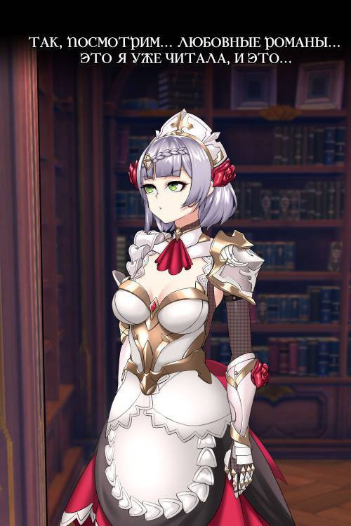 Noelle Library / Ноэлль и библиотека