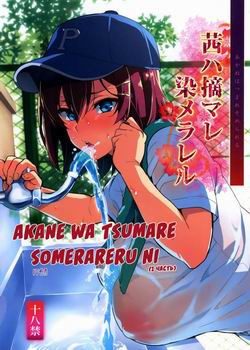 Akane wa Tsumare Somerareru №1